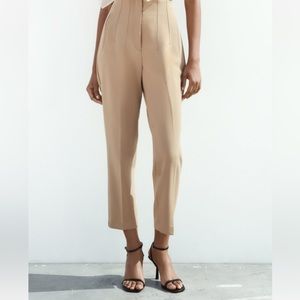 Zara High Waisted Pants in Taupe Brown - Medium